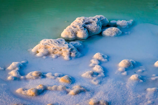  罗布泊盐湖岸边结晶的“盐花”