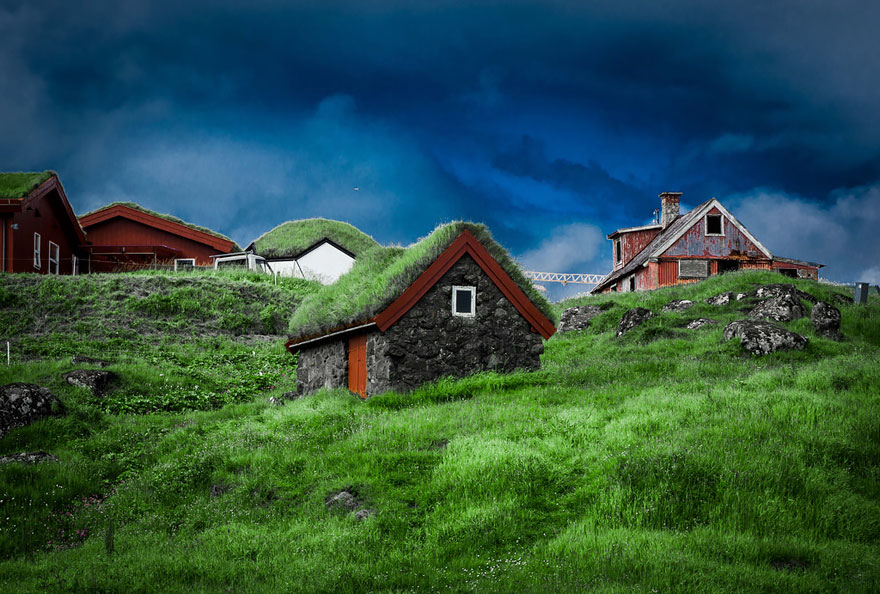 被草包围的北欧小屋 