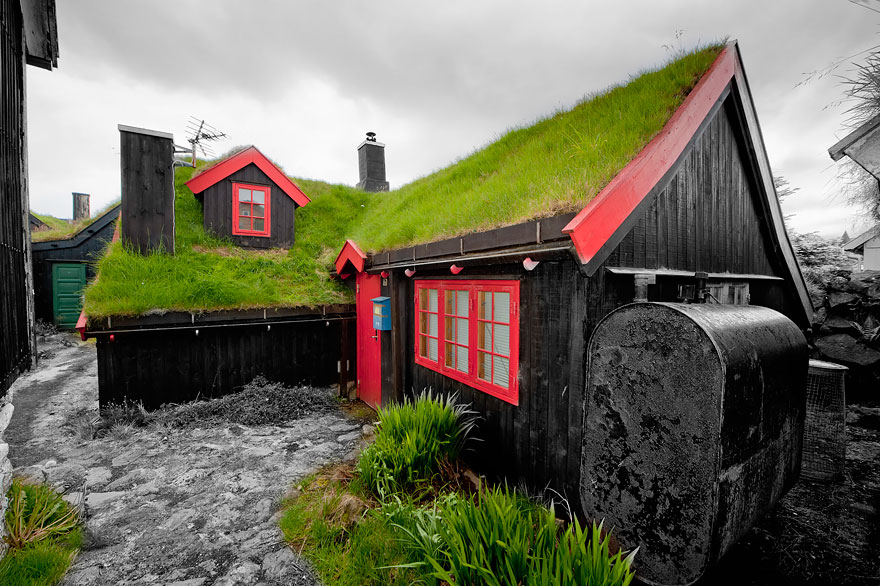 被草包围的北欧小屋 